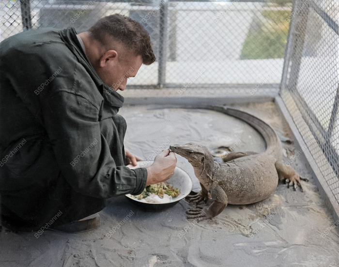 Фотограф: А.П. Анжанов.