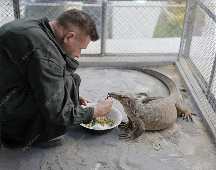 Фотограф: А.П. Анжанов. Фотограф: А.П. Анжанов.