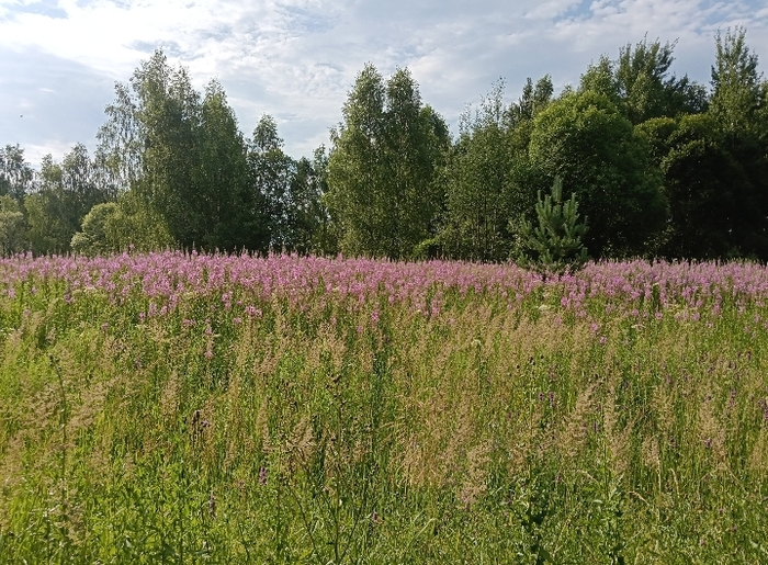 Ответ на пост "Просто нашел фотографию"