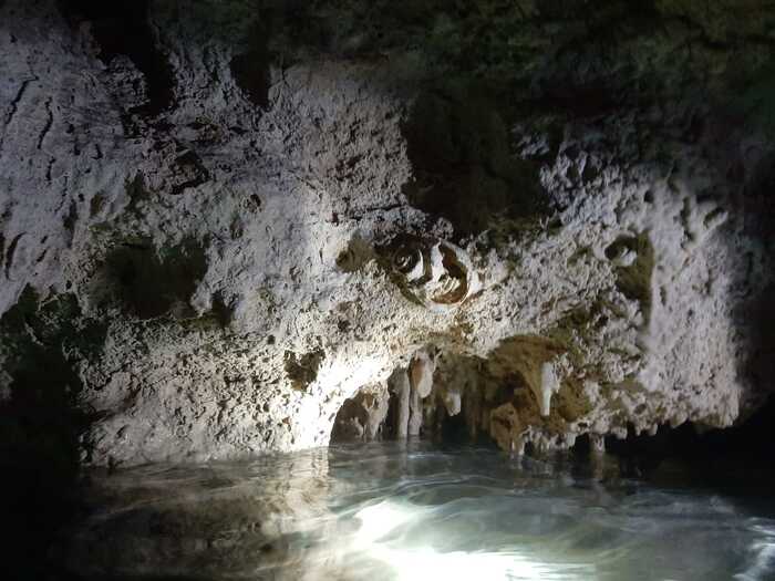 Ответ на пост «Просто хочу поделиться фотографией, которую у себя нашел а архиве»