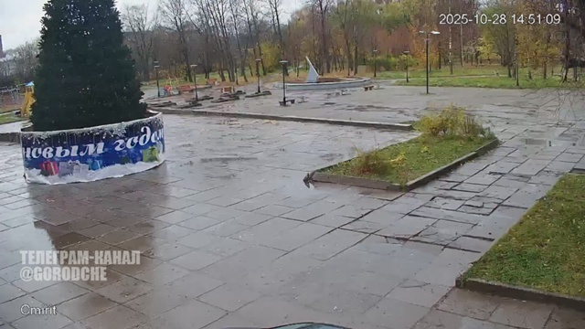 В Череповце начали установку новогодних елей