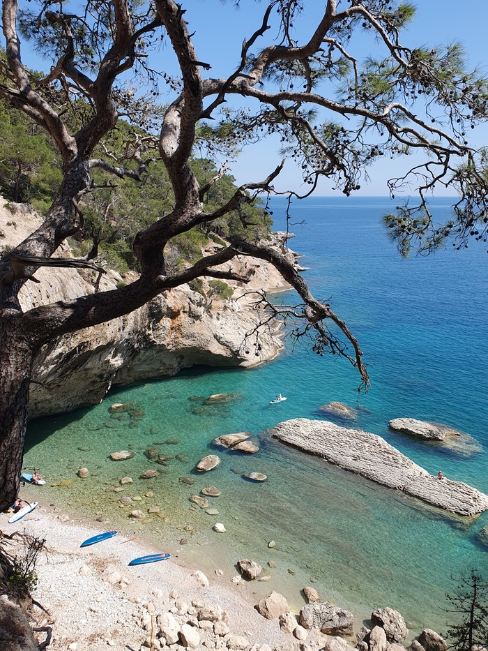 Ответ на пост «Просто хочу поделиться фотографией, которую у себя нашел а архиве»