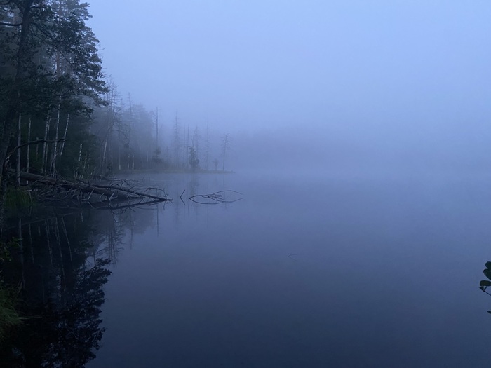 Ленинградская область, Сосново, оз. Щучье, 05:06 утра