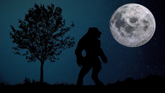 Изображение RENE RAUSCHENBERGER с сайта Pixabay