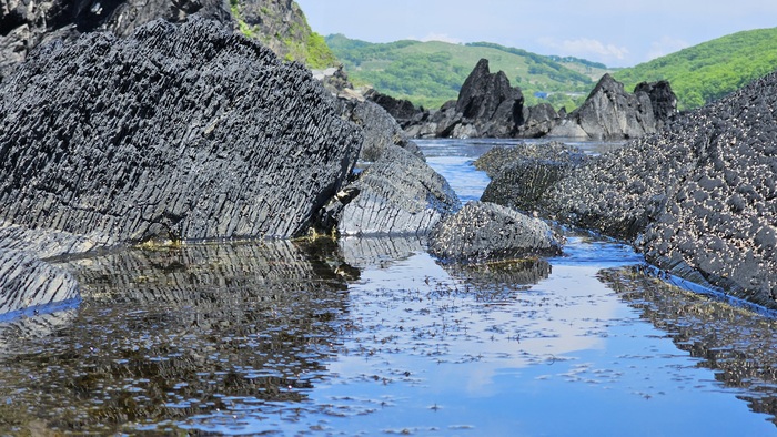 ����� �� ���� ������� ���� ���������� �����������, ������� � ���� ����� � ������