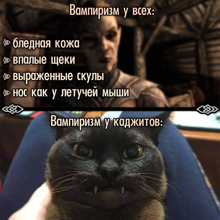 Котя Вампир