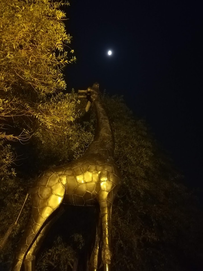 Ответ на пост «Просто хочу поделиться фотографией, которую у себя нашел а архиве»