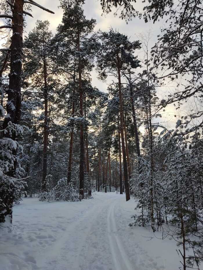 Ответ на пост «Просто хочу поделиться фотографией, которую у себя нашел а архиве»