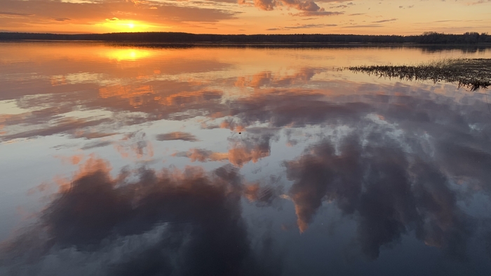 Ответ на пост «Просто хочу поделиться фотографией, которую у себя нашел а архиве»