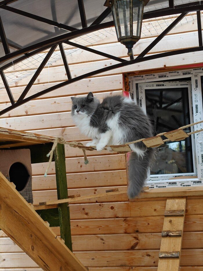 Новости о слепой Алоше после операции