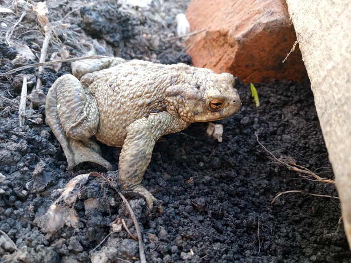 Ответ dima7144 в «Просто хочу поделиться фотографией, которую у себя нашел а архиве»