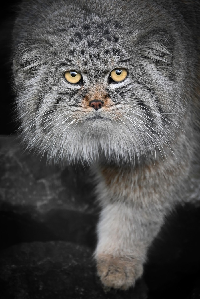 Не очень доброе утро