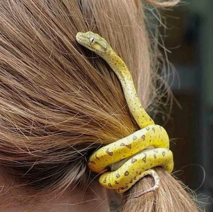    &quot;  ,     &quot;