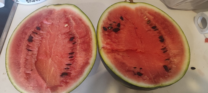 Если есть на свете рай, это Краснодарский край. Зачем вы живёте на своих серверах?