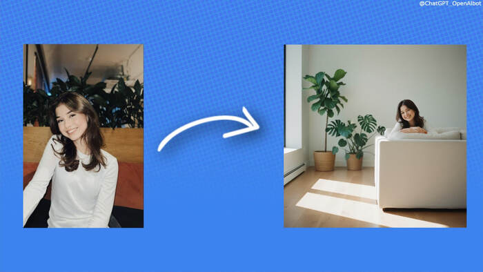 minimalist interior with plants and sunlight, shot on film -    .