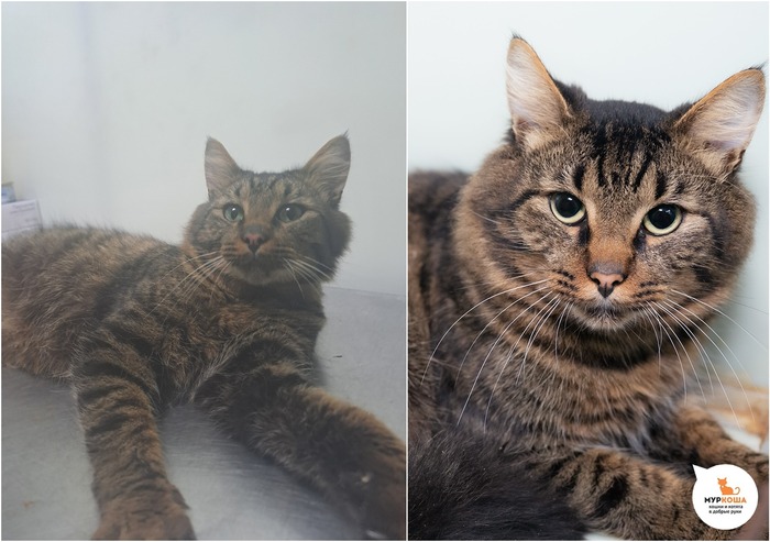  , 2 ,   .  .        - .  ,              .