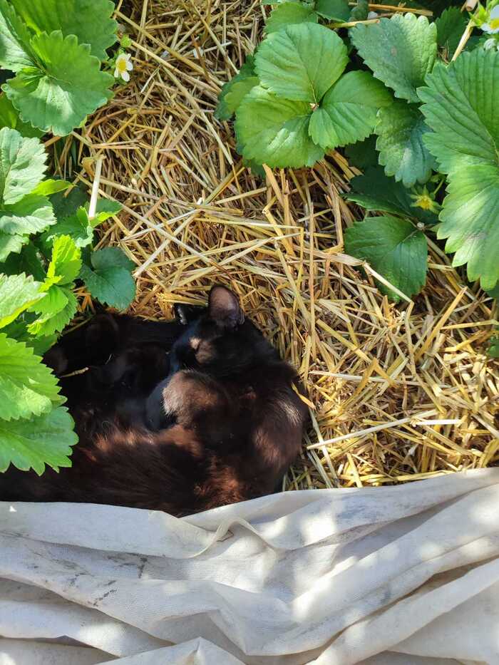 ����� �� ���� ���� ����� ������ ��� � � �������