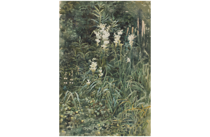 Поленова Е.Д. Этюд «Цветы». 1880-е // Башкирский государственный художественный музей имени М.В. Нестерова