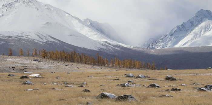 Алтайские панорамы