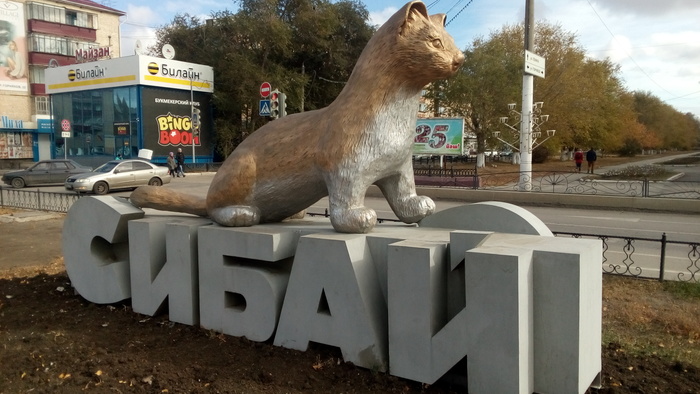 Стоит в начале центральной площади города Сибай.
