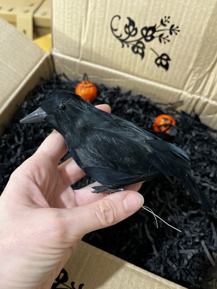    -   ,      ,     ))))