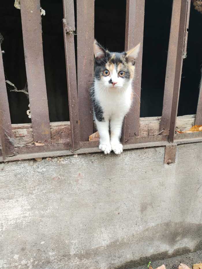 Вот такой милый хвостик...