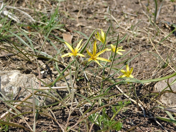  -      ( ). : &nbsp; 