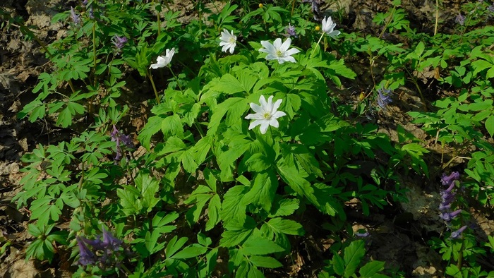  -      ( ). : &nbsp; 