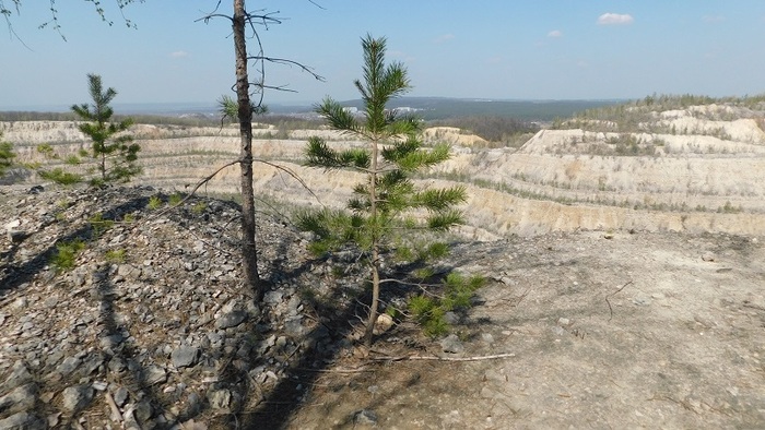  -      ( ). : &nbsp; 