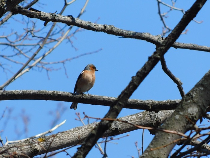  -      ( ). : &nbsp; 