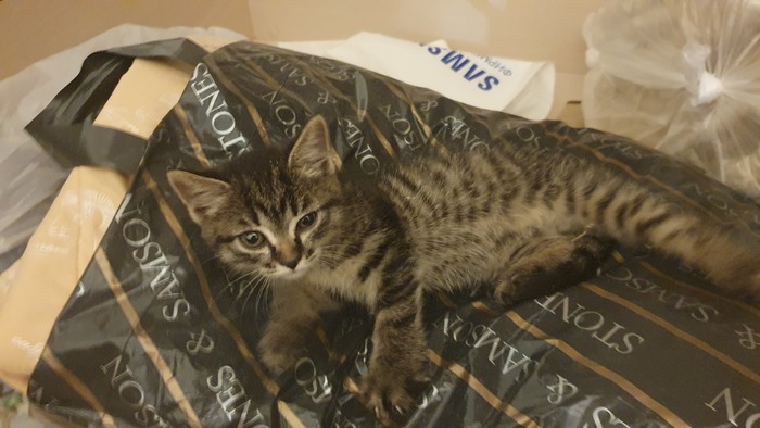 Первый день в новом доме