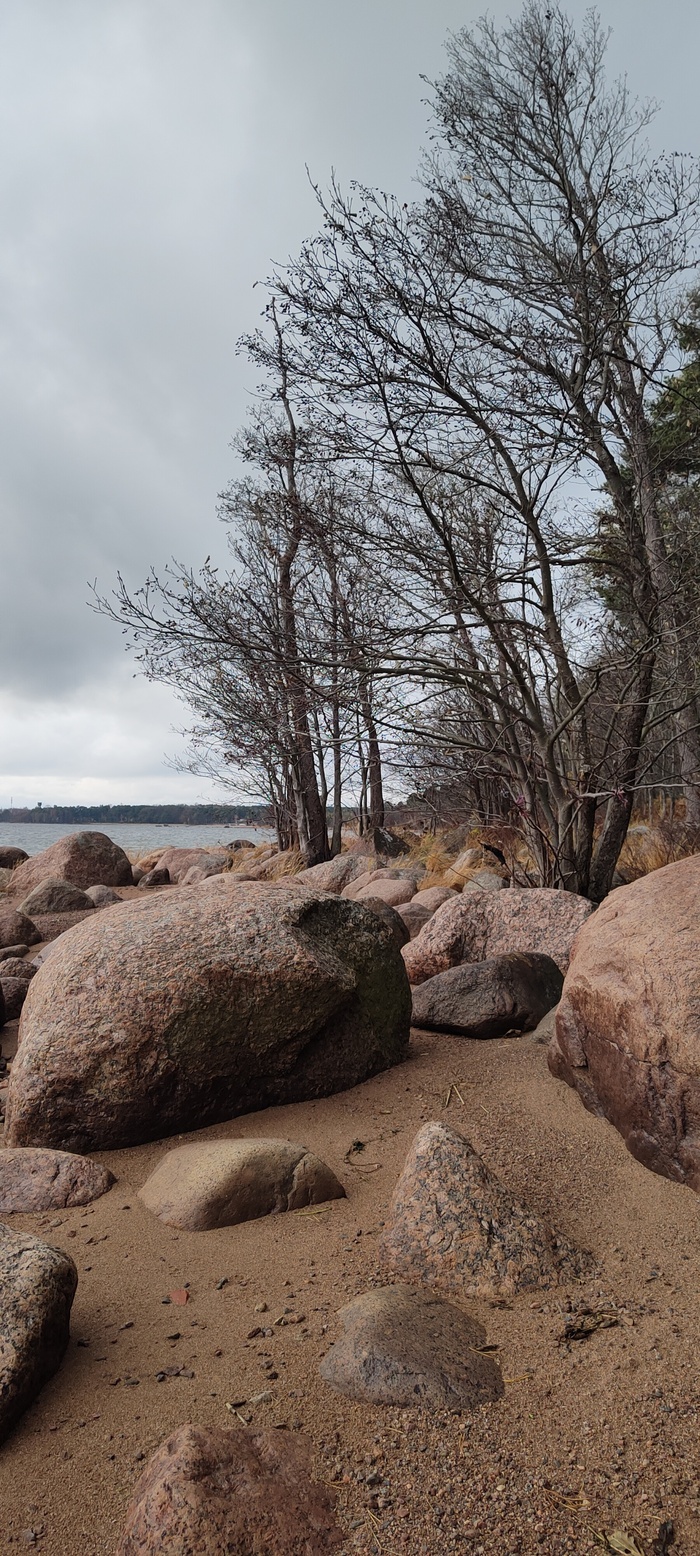 Финский залив прекрасен