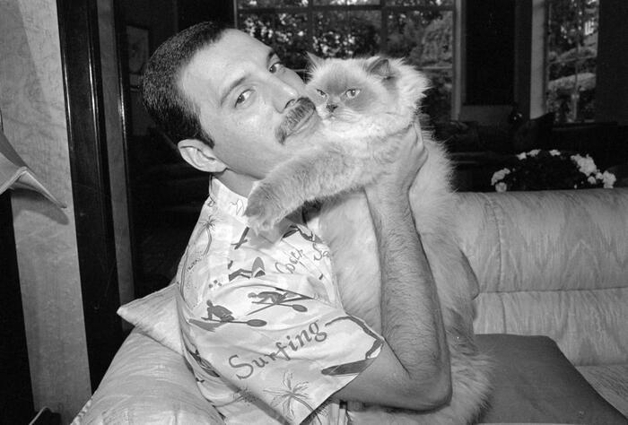 ,    ,   .        . , ,   .