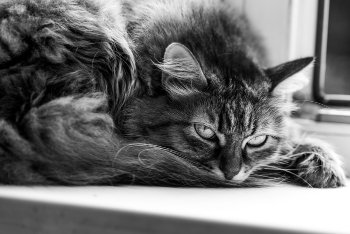 �� ��� ��� ������ �����...