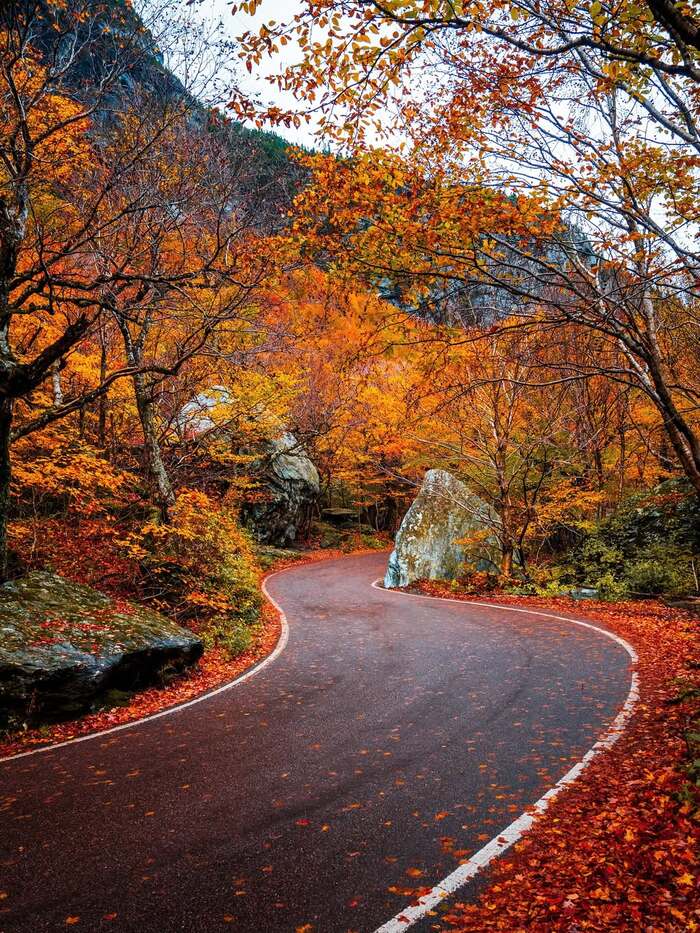 Источник <a href="https://pikabu.ru/story/fall_foliage__luchshee_vremya_priekhat_v_novuyu_angliyu_13352289?u=https%3A%2F%2Fwelcometoma.com%2F&t=Digest%20Welcome%20to%20Massachusetts%20%28%20Edition%20in%20Russian%29&h=4d42791a7b5e79262e61e33297b09caaca80b736" title="https://welcometoma.com/" target="_blank" rel="nofollow noopener">Digest Welcome to Massachusetts ( Edition in Russian) </a><!--noindex--><a href="https://pikabu.ru/story/fall_foliage__luchshee_vremya_priekhat_v_novuyu_angliyu_13352289?u=https%3A%2F%2Fwelcometoma.com%2F&t=https%3A%2F%2Fwelcometoma.com%2F&h=478244e9506e104c064967d1633a915ec36f9c79" title="https://welcometoma.com/" target="_blank" rel="nofollow noopener">https://welcometoma.com/</a><!--/noindex-->