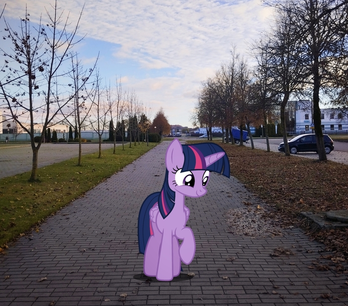 Хоть нынче и дождливо, но это не помешает нам насладиться осенней прогулкой с нашей любимой искоркой которая тоже довольна (всех с Хэллоуином).