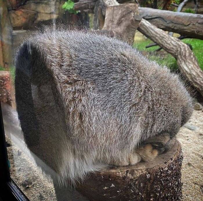 Фото из интернетов