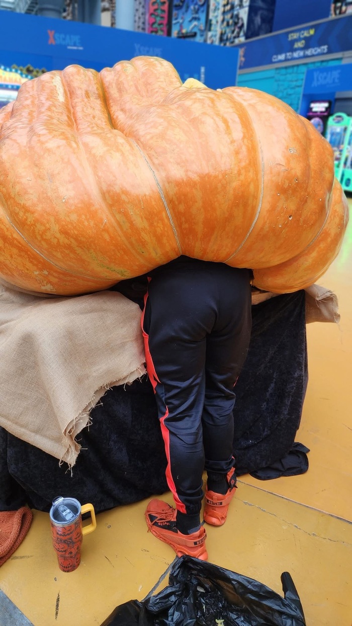 Осторожно гиганты атакуют!