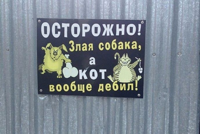 Ответ на пост «Большой и малый брат следят за вами»