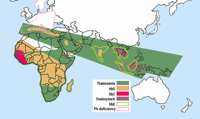 Карта распространения аномалий эритроцитов.
