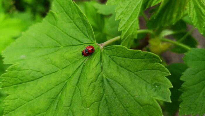 Ответ на пост «Просто хочу поделиться фотографией, которую у себя нашел а архиве»
