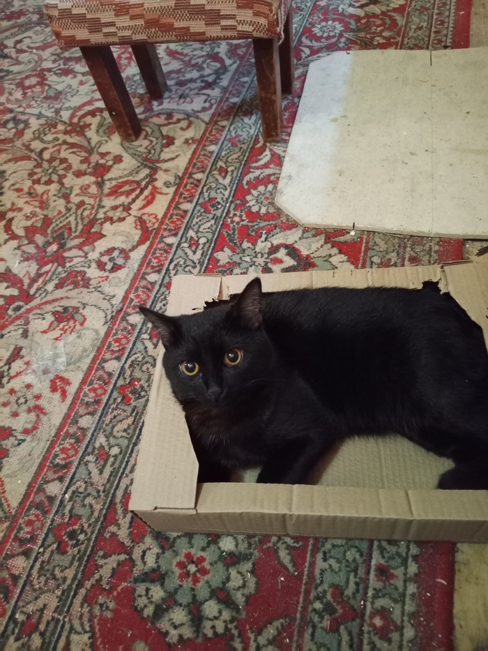 ������ � ������������ �����