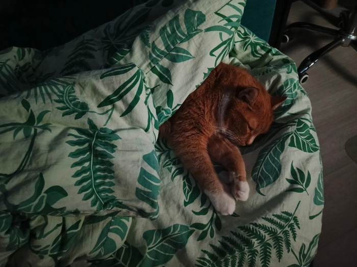 Little Bit News |         ,         