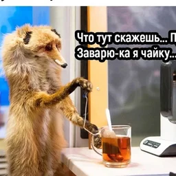 Jenussi