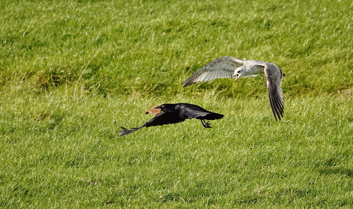          .      ,   -     .   - .