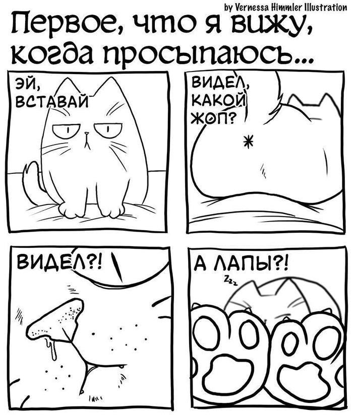 Всем кошатникам это знакомо!