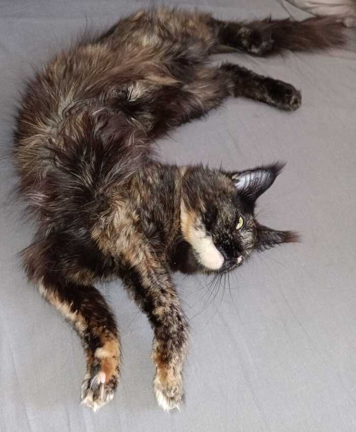 Очень удобно