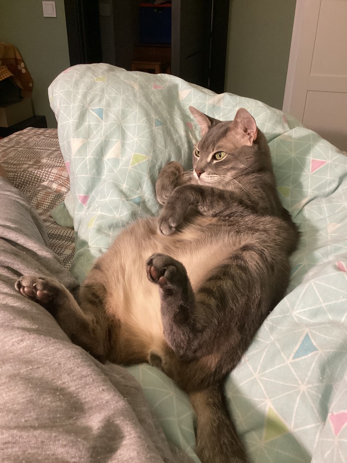 ��� ������ �������