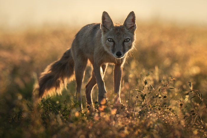 : :   <a href="https://pikabu.ru/story/iz_sveta_i_tishinyi_13360356?u=https%3A%2F%2Frtraveler.ru%2Fphoto%2F1479177%2F%3Fday_photos%3D1&t=%D0%BE%D1%82%D1%81%D1%8E%D0%B4%D0%B0&h=2a20c9eee11741045cd196081715bf047448fb0d" title="https://rtraveler.ru/photo/1479177/?day_photos=1" target="_blank" rel="nofollow noopener"></a>