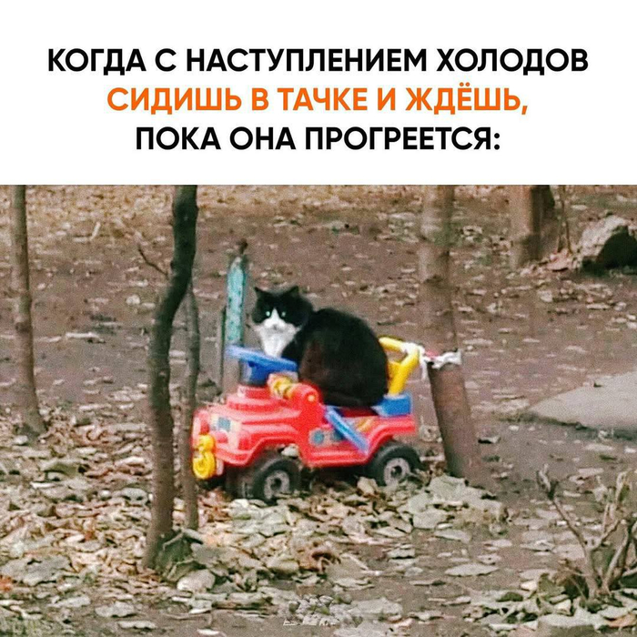 Автомобилисты поймут